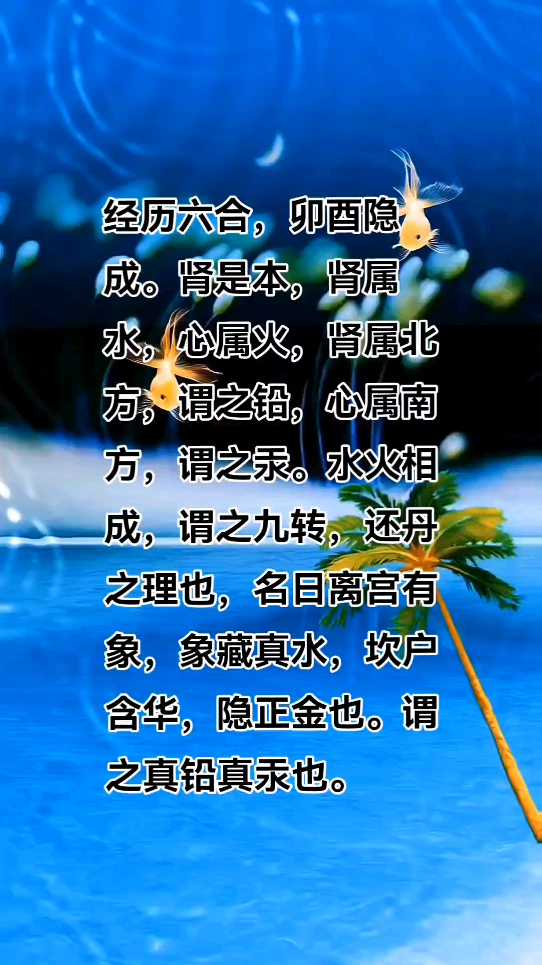 详细阅读:修生荞性的简单介绍 修生荞性的简单介绍